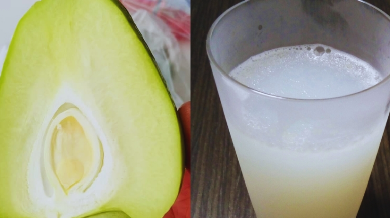 Bladder Health Blood Sugar Daily Wellness Diabetes Natural Remedies Nutrition Pancreas 