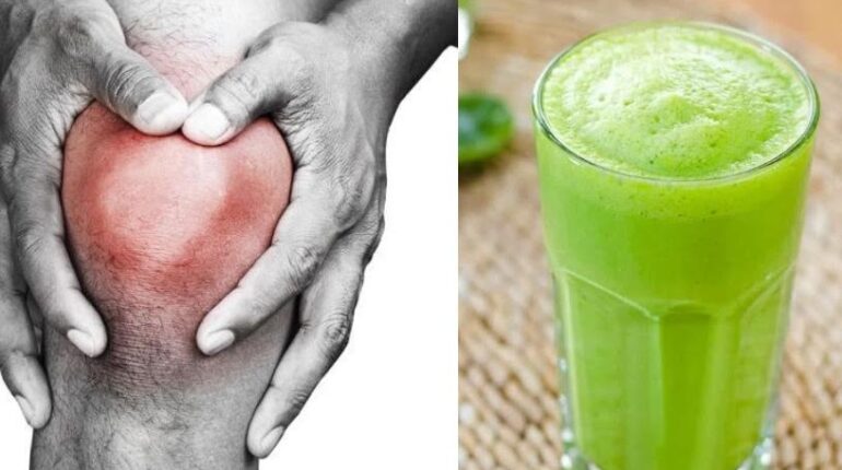 Botany Herbal Remedies Kalanchoe Madagascar Medicinal Plants Plant Reproduction Traditional Medicine 