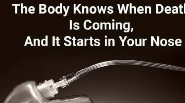 Bone Health Death Food Science Herbal Medicine Research Smell 