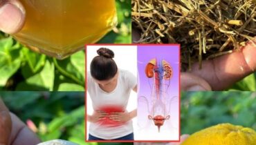 Blutzuckerunterstützung: Die 3-Zutaten-Morgeninfusion, die weniger kostet als Ihr Kaffee Blutzuckerunterstützung: Die 3-Zutaten-Morgeninfusion, die weniger kostet als Ihr Kaffee