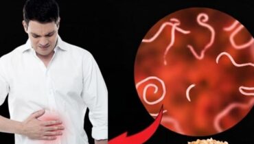 Mit 47 Jahren trinkt sie dies jeden Morgen auf leeren Magen: « Ich hätte nie gedacht, dass Leinsamen könnte… » Mit 47 Jahren trinkt sie dies jeden Morgen auf leeren Magen: « Ich hätte nie gedacht, dass Leinsamen könnte… »