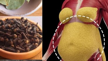 Ayurveda Cinnamon Tea Daily Wellness Digestion Energy Natural Health Sugar Cravings 