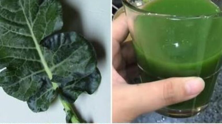 Broccoli Cooking Hacks Food Storage Food Waste Healthy Eating Nutrition Vitamins 