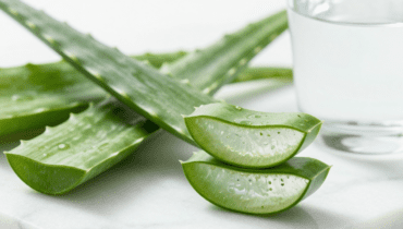 Aloe Vera: 17 wissenschaftliche Vorteile von hausgemachtem Saft und das Rezept für eine risikofreie Zubereitung