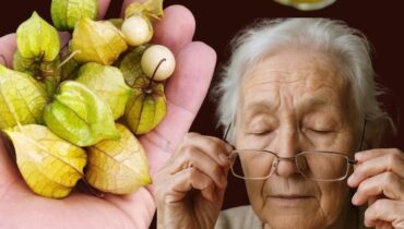 Goldenberry: Wie diese vitaminreiche Frucht Immunität, Gehirngesundheit und natürliche Blutzuckerbalance unterstützt Goldenberry: Wie diese vitaminreiche Frucht Immunität, Gehirngesundheit und natürliche Blutzuckerbalance unterstützt