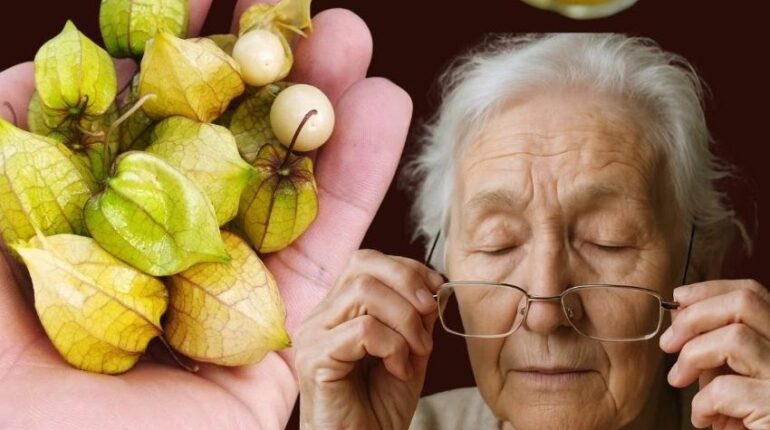 Antioxidants Blood Sugar Brain Health Goldenberry Immunity Nutrition Superfoods 