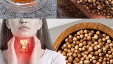 Schilddrüsengesundheit: Warum Koriandersaat-Tee zu einem Morgenritual für natürliche Hormonunterstützung wird Schilddrüsengesundheit: Warum Koriandersaat-Tee zu einem Morgenritual für natürliche Hormonunterstützung wird