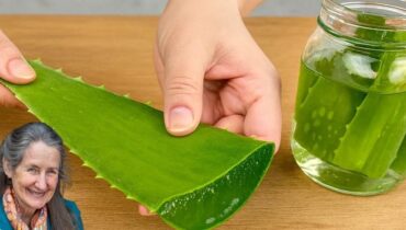 Aloe Vera, Roher Honig & Frischer Ingwer: Das sanfte tägliche Ritual, das Verdauung, Hautklarheit & natürliche Immunität in nur zwei Wochen unterstützt Aloe Vera, Roher Honig & Frischer Ingwer: Das sanfte tägliche Ritual, das Verdauung, Hautklarheit & natürliche Immunität in nur zwei Wochen unterstützt