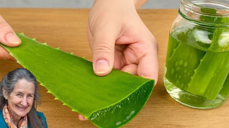 Aloe Vera Digestion Ginger Honey Immunity Natural Remedies Skin Health 