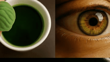 Orégano Orejón: Cómo Esta Hierba Aterciopelada Fortalece los Huesos, Limpia Infecciones Respiratorias y Desintoxica el Hígado Según la Ciencia