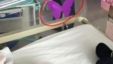 Lila Schmetterling-Aufkleber auf Krankenhausbettchen: Das Symbol, das Eltern hilft, die einen Zwilling verloren haben Lila Schmetterling-Aufkleber auf Krankenhausbettchen: Das Symbol, das Eltern hilft, die einen Zwilling verloren haben