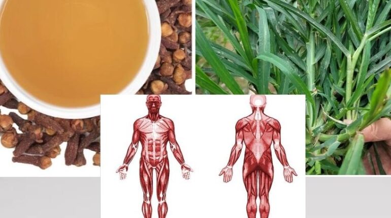 Daily Wellness Digestive Health Health Tips Herbal Medicine Home Remedies Joint Pain Relief Natural Remedies 