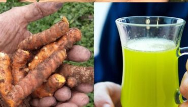 Guavablätter, Kurkuma & Zitrone: Wie dieses 3-Komponenten-Getränk Blutzucker, Verdauung und natürliche Entgiftung unterstützt