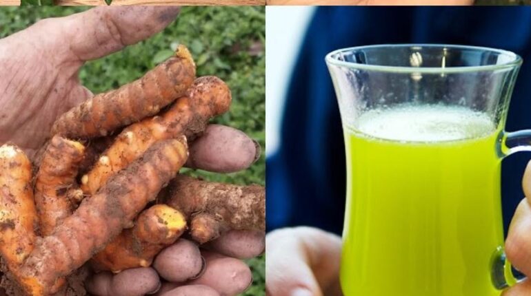 Blood Sugar Detox Digestion Guava Leaves Health Drinks Natural Remedies Turmeric 