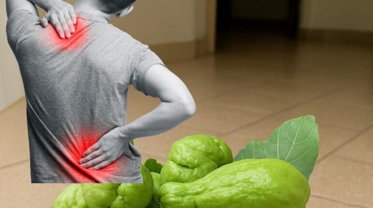 Chayote Gut Health Health Benefits Nutrition Superfoods Weight Management 