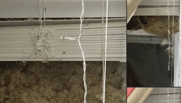 Zwei Wochen Abwesenheit—Die schockierende Entdeckung in der Wand des Schlafzimmers ihrer Tochter Zwei Wochen Abwesenheit—Die schockierende Entdeckung in der Wand des Schlafzimmers ihrer Tochter