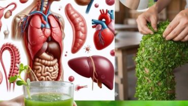 Portulak: Das Omega-3-reiche Unkraut aus Ihrem Garten, das Fisch in Sachen Herzgesundheit Konkurrenz macht Portulak: Das Omega-3-reiche Unkraut aus Ihrem Garten, das Fisch in Sachen Herzgesundheit Konkurrenz macht