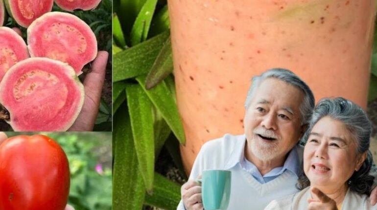 Blood Sugar Daily Wellness Guava Leaves Immunity Liver Health Natural Health Soursop Tea Tomato Sauce 