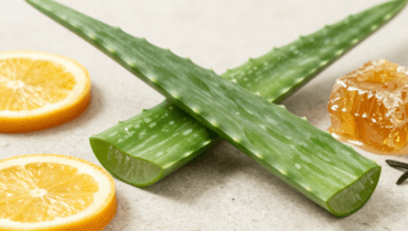 Aloe Vera und Zitrone: Dieses natürliche Rezept kann Bakterien und Pilze vernichten, ohne Ihre Darmflora zu beeinträchtigen
