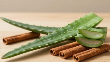 Aloe Vera und Zimt: Wie dieses natürliche Duo Verdauung, Immunsystem und Blutzucker im Alltag unterstützt Aloe Vera und Zimt: Wie dieses natürliche Duo Verdauung, Immunsystem und Blutzucker im Alltag unterstützt