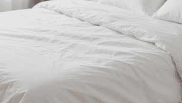 Schlafen mit der Katze: Bartonellose und Parasiten, die Sie jede Nacht riskieren (und wie man sie vermeidet)