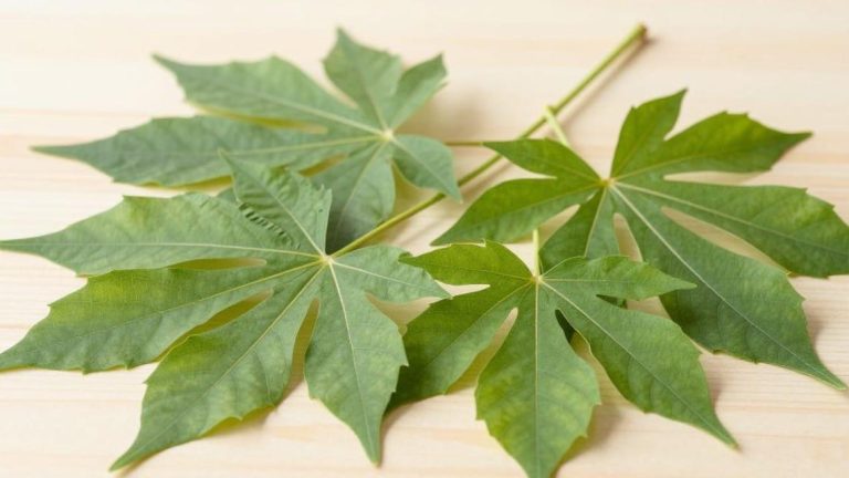 08340384-d8f8-4cd7-9e21-d8068c21a3b9
