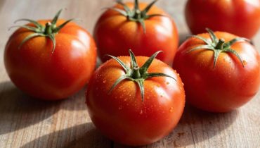 Tomatenkonservierung: Diese Einmachmethode bewahrt die sommerliche Frische 10 Jahre lang ohne Einfrieren oder Dehydrieren