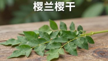 Curryblätter: Wie diese ayurvedische Pflanze hilft, den Blutzucker zu regulieren, die Durchblutung zu verbessern und Gelenke zu entlasten