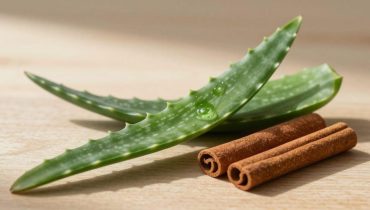 Aloe Vera und Zimt: Wie diese natürliche Kombination Verdauung, Durchblutung und Augengesundheit unterstützt