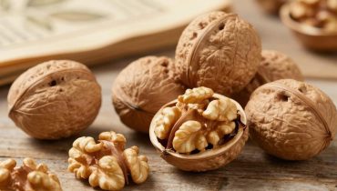 Walnüsse und Langlebigkeit: Wie 14 Kerne pro Tag laut Ärzten Gehirn, Herz und Mikrobiom verbessern Walnüsse und Langlebigkeit: Wie 14 Kerne pro Tag laut Ärzten Gehirn, Herz und Mikrobiom verbessern