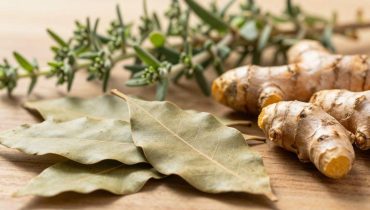 Blutzucker, Bluthochdruck, Ödeme: Wie ein traditionelles Kräutergetränk jahrelange Medikamente ersetzte Blutzucker, Bluthochdruck, Ödeme: Wie ein traditionelles Kräutergetränk jahrelange Medikamente ersetzte