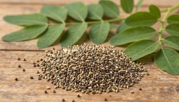 Moringa-Samen: 15 ernährungsphysiologische Vorteile, die sie zu einem natürlichen Superfood für die Gesundheit machen