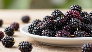 Schwarze Maulbeere: Wie diese Sommerfrucht den Blutdruck reguliert und die Sehkraft dank ihrer Antioxidantien verbessert
