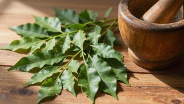 Curryblätter: Wie diese ayurvedische Pflanze hilft, den Blutzuckerspiegel zu regulieren, die Durchblutung zu verbessern und Gelenkentzündungen zu reduzieren