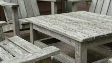 Bettwanzen im Garten: Wie man sie in wenigen Minuten eliminiert, bevor sie in Ihr Haus eindringen