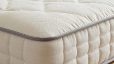 Bettwanzen: Wie ein einziges Weibchen in wenigen Monaten 500 Eier legt und die natürlichen Lösungen, um die Invasion zu stoppen