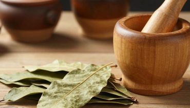 Guavenblatt-Tee: Warum dieser traditionelle Aufguss ein natürlicher Verbündeter für das Nierenwohlbefinden bleibt