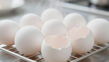 Gekochte Eierschalen: Wie man sie in eine kostenlose Ressource für Haus und Garten verwandelt Gekochte Eierschalen: Wie man sie in eine kostenlose Ressource für Haus und Garten verwandelt