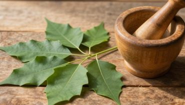 Neem: Das traditionelle ayurvedische Blatt, das Blutzucker, Durchblutung und Gelenkkomfort unterstützt