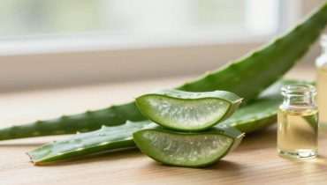 Haarwachstum: Wie hausgemachtes Aloe-Vera-Öl das Wachstum stimuliert und Haarausfall in 4 Wochen reduziert