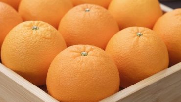 Orangen: Warum die Wahl eines kleinen Nabels mehr Saft und Geschmack garantiert