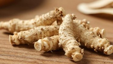 Rundes Zypergras: Die uralte Heilpflanze, die Forscher für Entzündungen und hormonelles Gleichgewicht neu entdecken