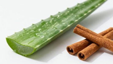 Aloe Vera und Zimt: Dieses Pflanzenduo verbessert laut neuester Forschung Verdauung und Kreislauf Aloe Vera und Zimt: Dieses Pflanzenduo verbessert laut neuester Forschung Verdauung und Kreislauf