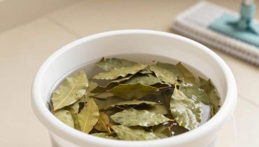 Lorbeerblätter im Waschwasser: Wie ihre ätherischen Öle hartnäckigen Schmutz lösen