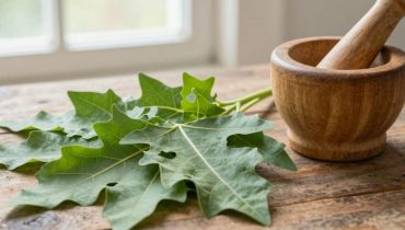 Gekochte Papayablätter: Wie ihre natürlichen Enzyme laut traditioneller Medizin Verdauung und Entzündungen lindern