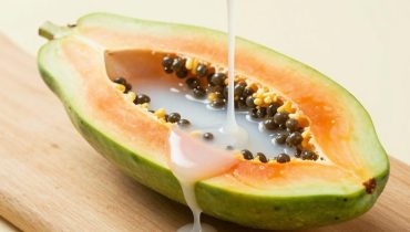 Grüne Papaya: Wie das Papain in ihrem Saft die Proteinverdauung verbessert und Blähungen reduziert