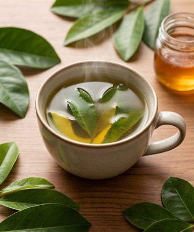 Vier-Blätter-Kräutertee: Avocado, Mango, Sauersack & Zitrus